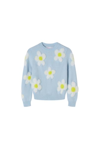 Afbeelding voor product Pull van het merk Someone in het Blauw