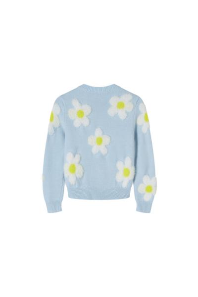 Afbeelding voor product Pull van het merk Someone in het Blauw