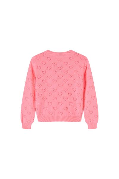 Afbeelding voor product Pull van het merk Someone in het Roze