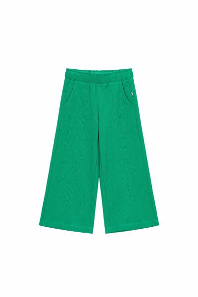 Afbeelding voor product Broek van het merk Someone in het Groen