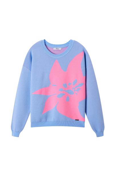 Afbeelding voor product Pull van het merk Vila Joy in het Blauw