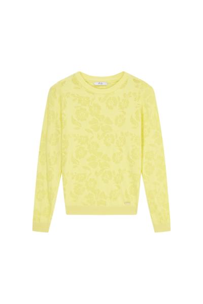 Afbeelding voor product Pull van het merk Vila Joy in het Geel