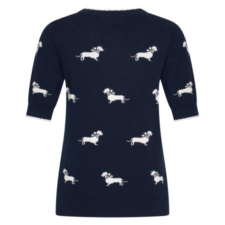 Afbeelding voor product Pull van het merk Hv Polo in het Marine