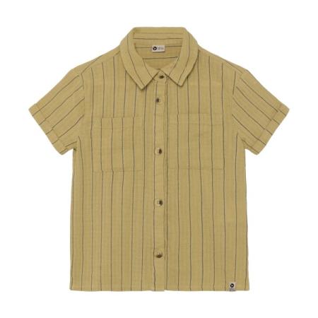 Afbeelding voor product Hemd van het merk Daily 7 in het Groen