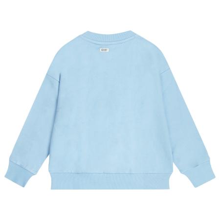Afbeelding voor product Sweater van het merk Tumblendry in het Blauw