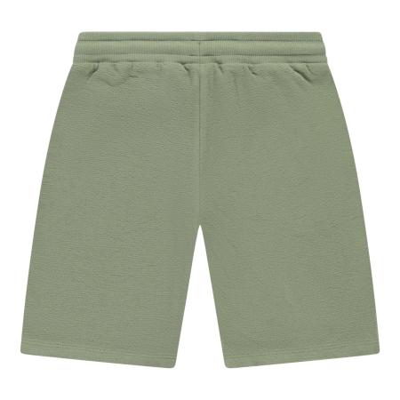 Afbeelding voor product Short van het merk Cars in het Groen