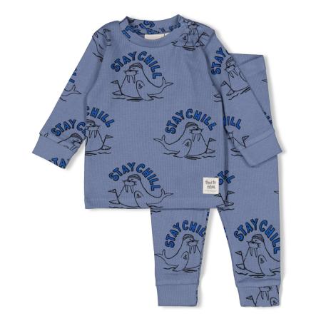 Afbeelding voor product Pyjama van het merk Feetje in het Blauw