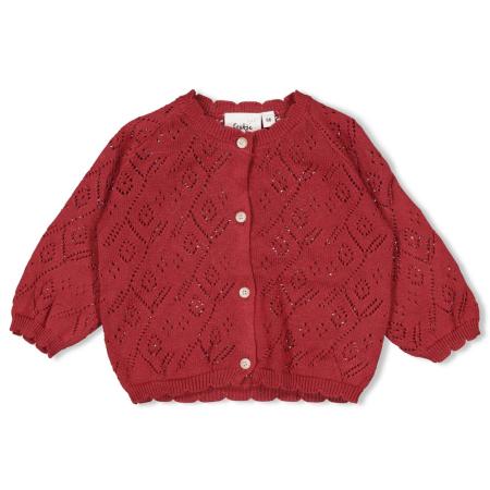 Afbeelding voor product Gilet van het merk Feetje in het Rood