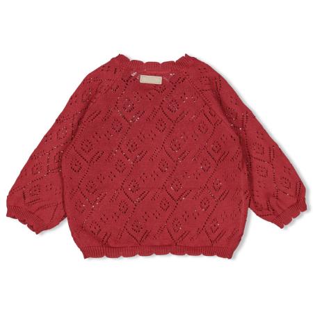 Afbeelding voor product Gilet van het merk Feetje in het Rood