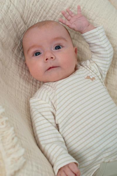 Afbeelding voor product T-shirt van het merk Feetje in het Groen