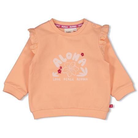 Afbeelding voor product Sweater van het merk Feetje in het Oranje