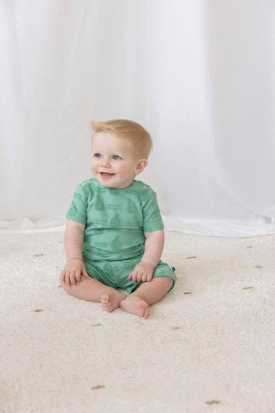 Afbeelding voor product T-shirt van het merk Feetje in het Groen