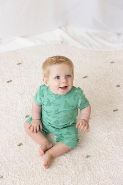 Afbeelding voor product Short van het merk Feetje in het Groen