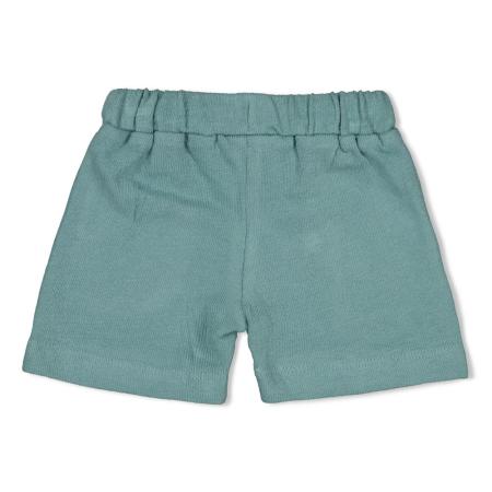 Afbeelding voor product Short van het merk Feetje in het Groen