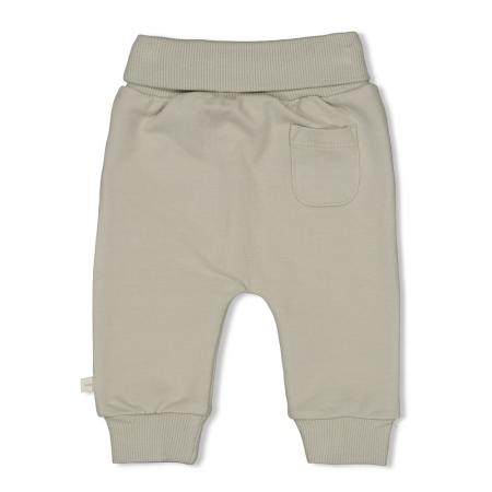 Afbeelding voor product Broek van het merk Feetje in het Groen