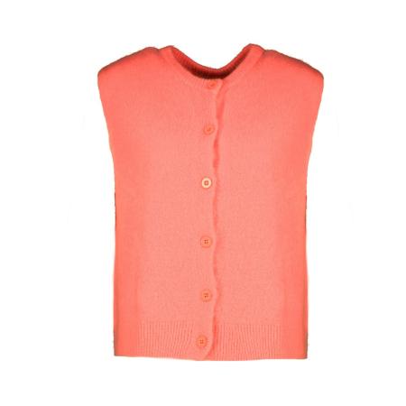 Afbeelding voor product Gilet van het merk Amelie&amelie in het Roze