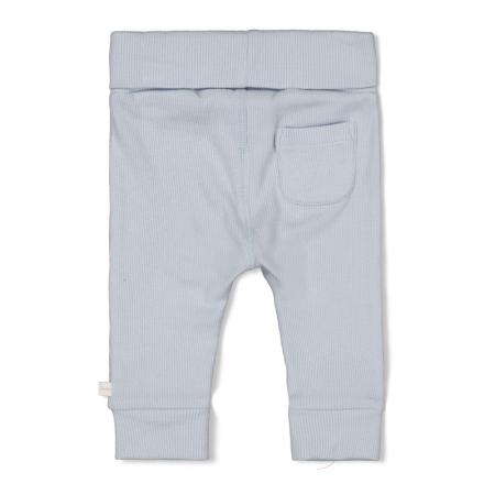 Afbeelding voor product Broek van het merk Feetje in het Blauw