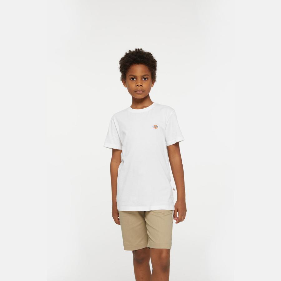 Afbeelding voor product T-shirt van het merk Dickies in het Wit