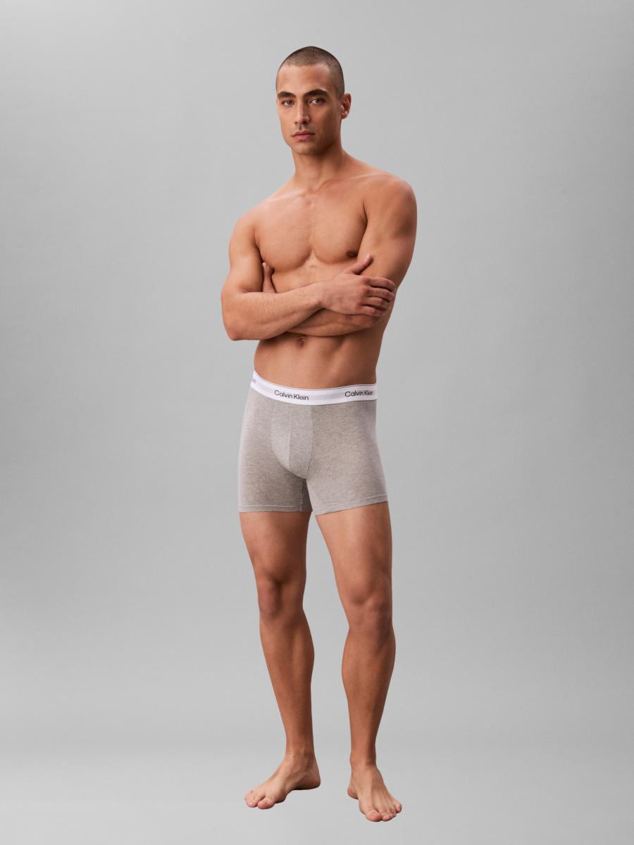Afbeelding voor product Boxer van het merk Calvin Klein in het Grijs