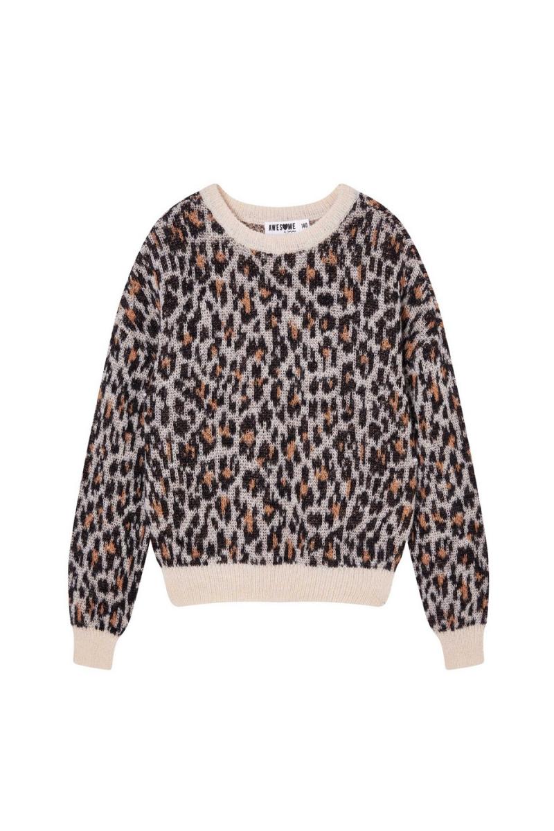 Afbeelding voor product Pull van het merk Awesome in het Beige