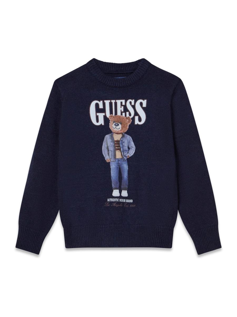 Afbeelding voor product Pull van het merk Guess in het Blauw