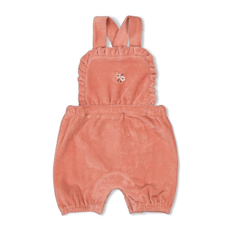 Afbeelding voor product Broek van het merk Feetje in het Roze