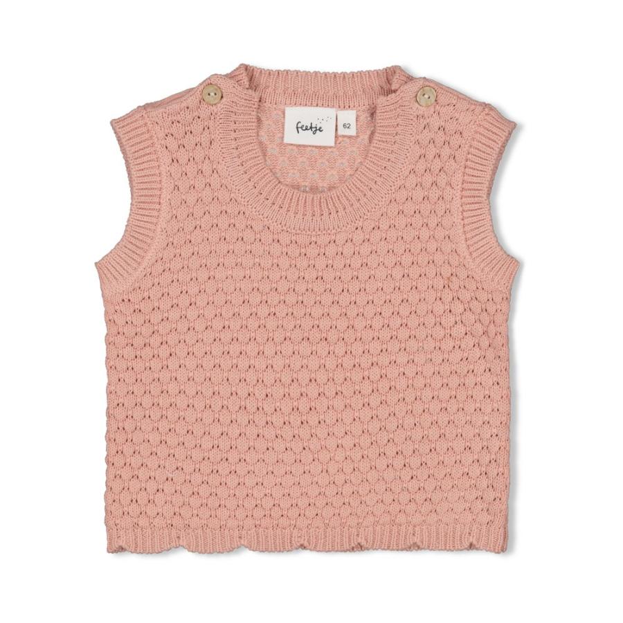 Afbeelding voor product Pull van het merk Feetje in het Roze