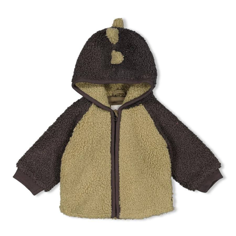 Afbeelding voor product Gilet van het merk Feetje in het Groen