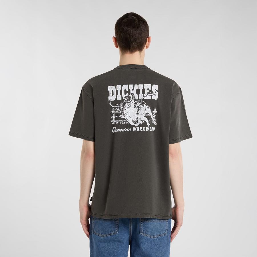 Afbeelding voor product T-shirt van het merk Dickies in het Zwart