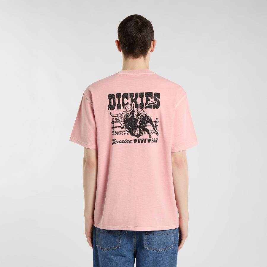 Afbeelding voor product T-shirt van het merk Dickies in het Roze