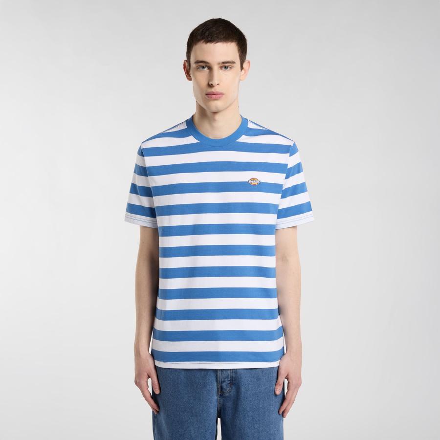 Afbeelding voor product T-shirt van het merk Dickies in het Blauw