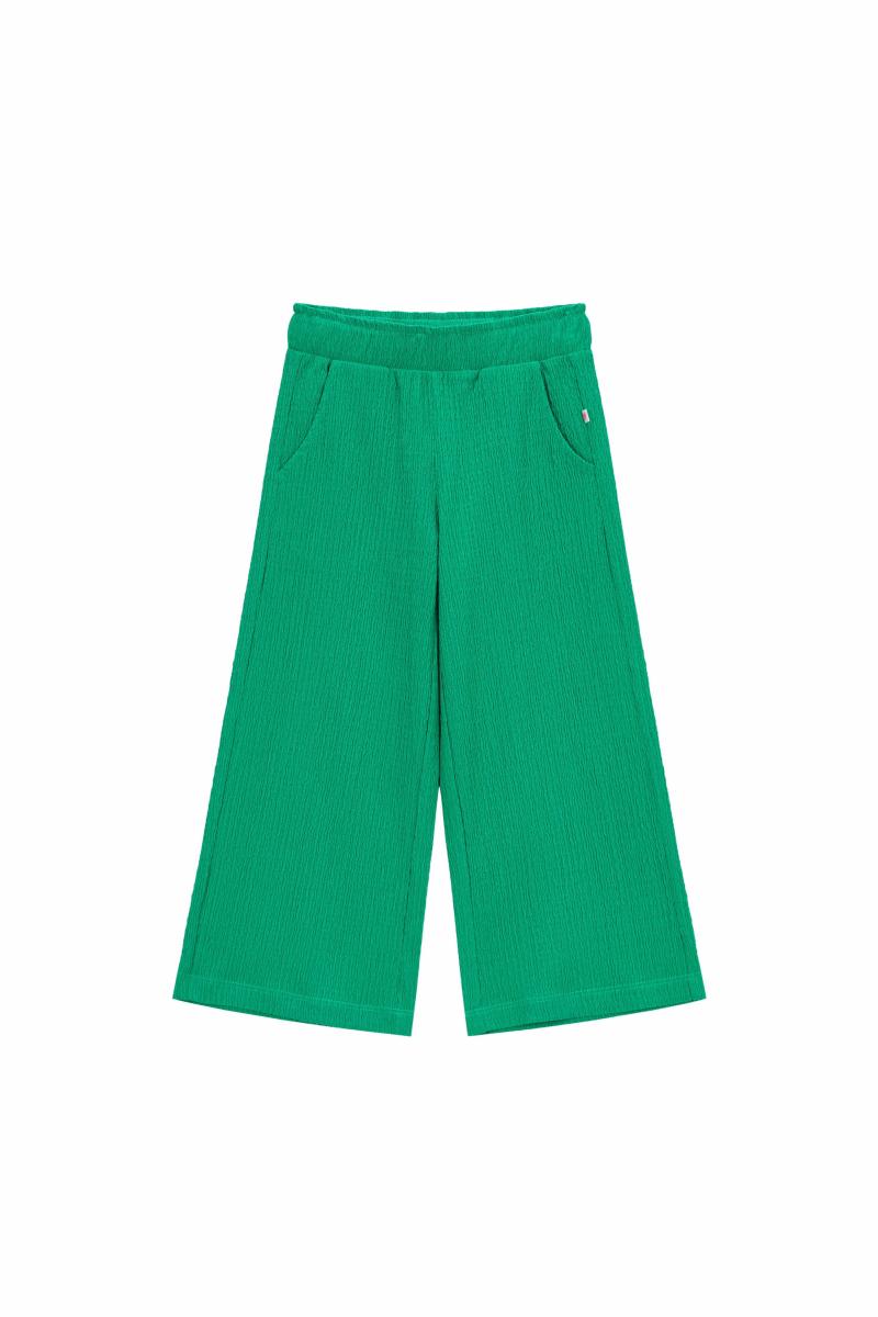 Afbeelding voor product Broek van het merk Someone in het Groen