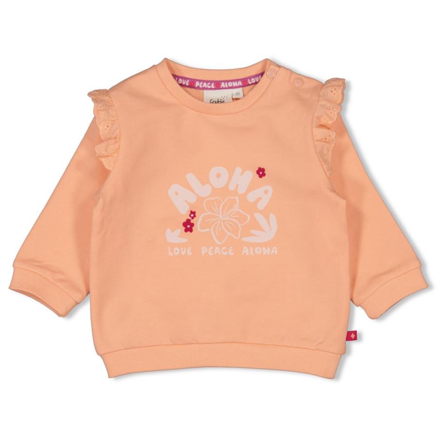 Afbeelding voor product Sweater van het merk Feetje in het Oranje