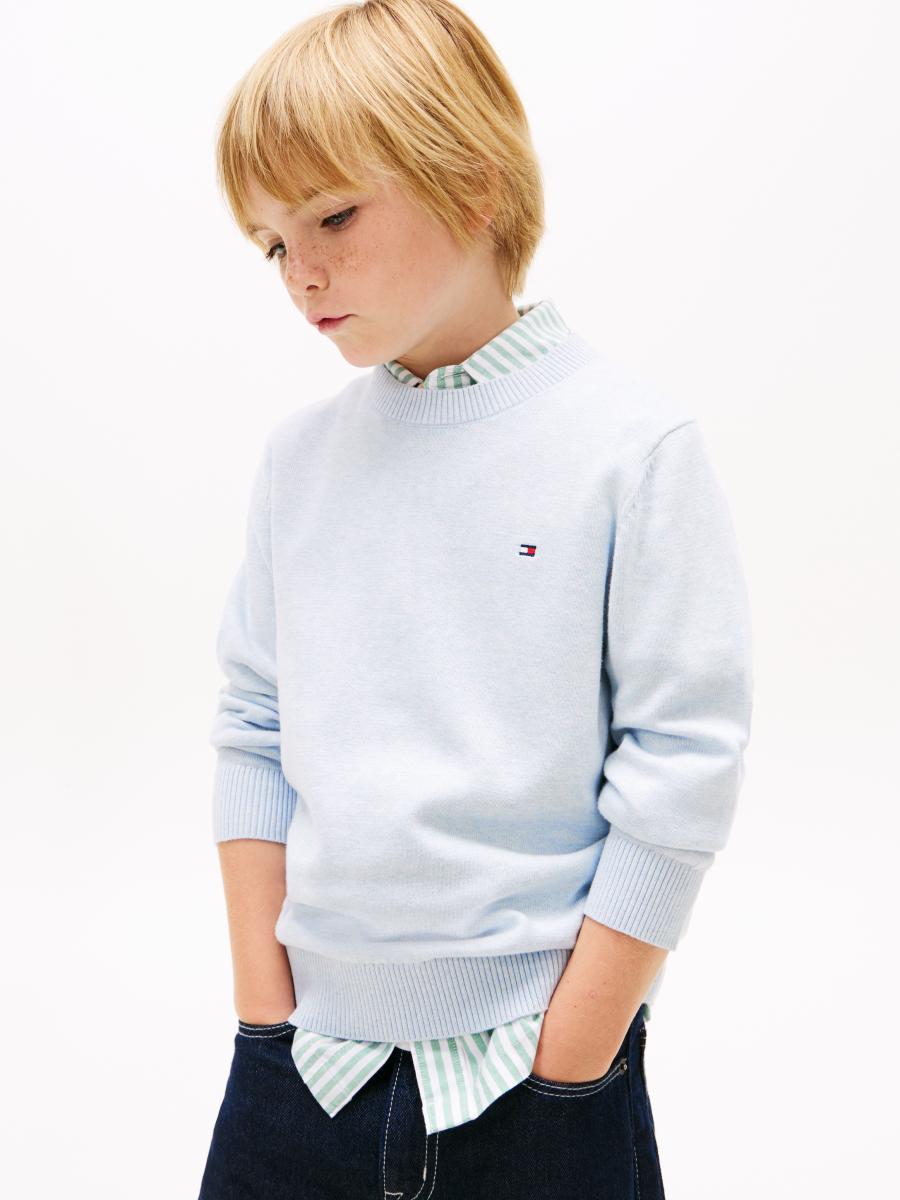 Afbeelding voor product Sweater van het merk Tommy Jeans in het Blauw