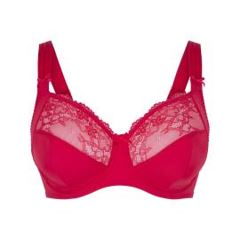 Afbeelding voor product Bh van het merk Lingadore in het Rood
