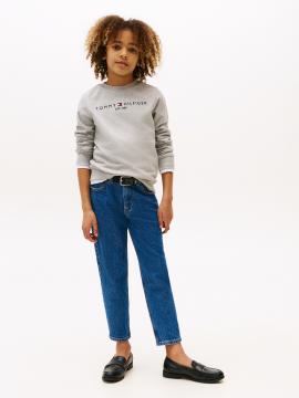 Afbeelding voor product Sweater van het merk Tommy Hilfiger in het Grijs