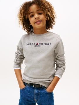 Afbeelding voor product Sweater van het merk Tommy Hilfiger in het Grijs