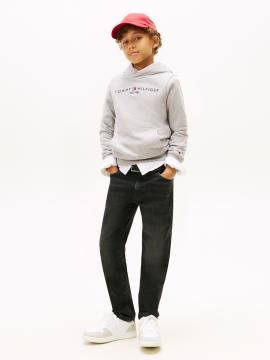 Afbeelding voor product Sweater van het merk Tommy Hilfiger in het Grijs