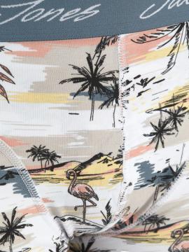 Afbeelding voor product Boxer van het merk Jack & Jones in het Groen