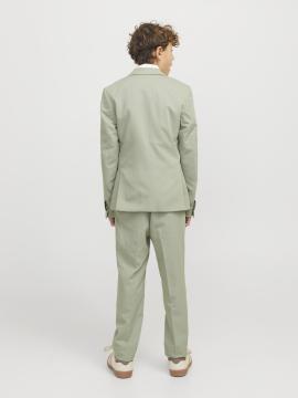 Afbeelding voor product Broek van het merk Jack & Jones Junior in het Groen