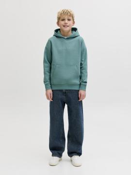 Afbeelding voor product Sweater van het merk Jack & Jones Junior in het Groen