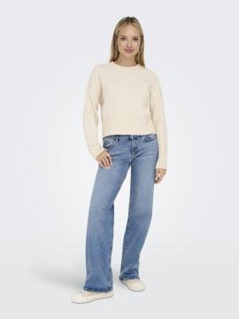 Afbeelding voor product Broek van het merk Only in het Jeans