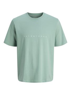 Afbeelding voor product T-shirt van het merk Jack & Jones Junior in het Groen