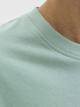 Afbeelding voor product T-shirt van het merk Jack & Jones Junior in het Groen