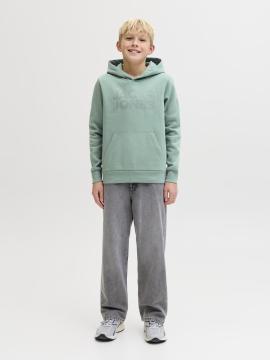 Afbeelding voor product Sweater van het merk Jack & Jones Junior in het Groen