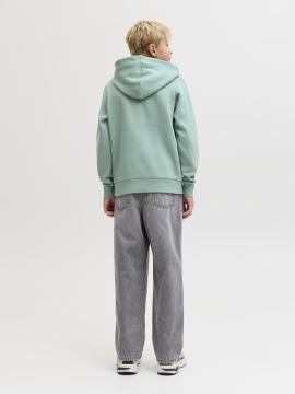 Afbeelding voor product Sweater van het merk Jack & Jones Junior in het Groen