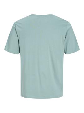 Afbeelding voor product T-shirt van het merk Jack & Jones in het Groen