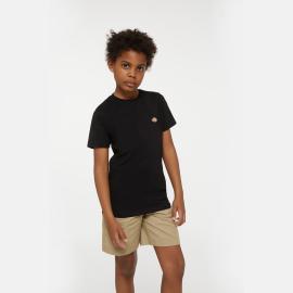 Afbeelding voor product T-shirt van het merk Dickies in het Zwart
