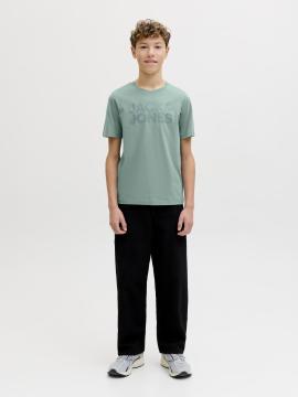 Afbeelding voor product T-shirt van het merk Jack & Jones Junior in het Groen