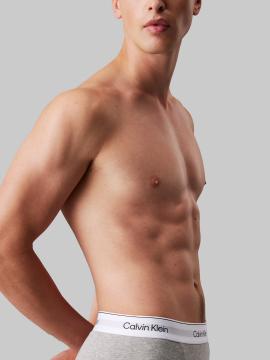Afbeelding voor product Boxer van het merk Calvin Klein in het Grijs